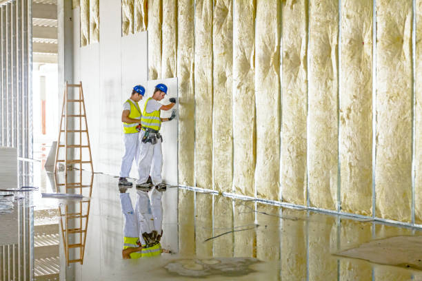 Best Types of Insulation in Flemingsburg, KY